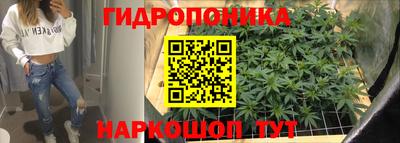 эйфоретик Заволжье