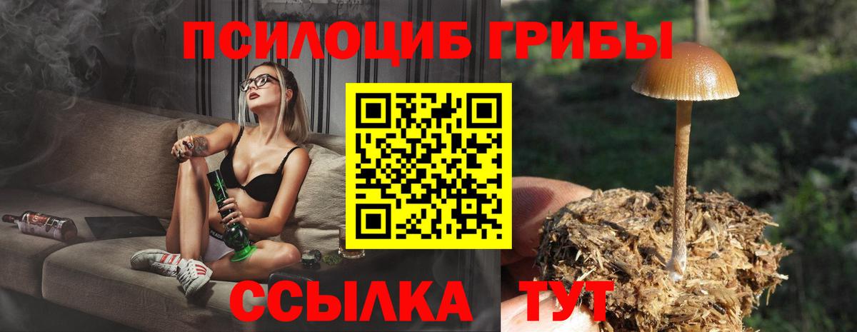 Псилоцибиновые грибы GOLDEN TEACHER  Вход с VPN  Майский 