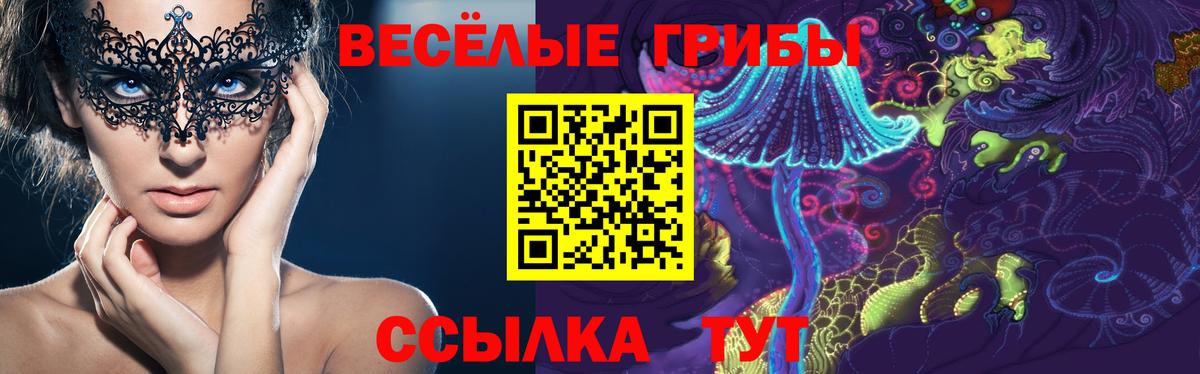 Галлюциногенные грибы мухоморы Майский